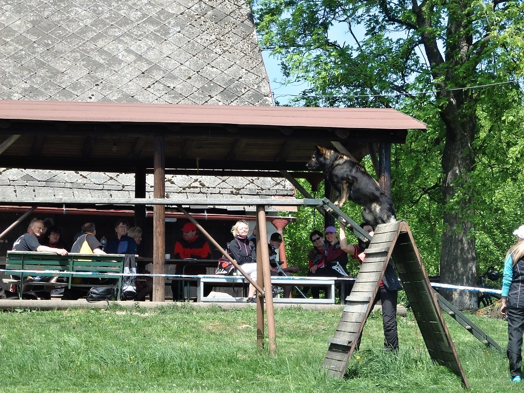 P5080275
