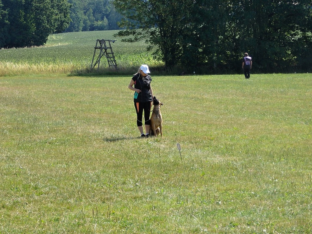 P7050101