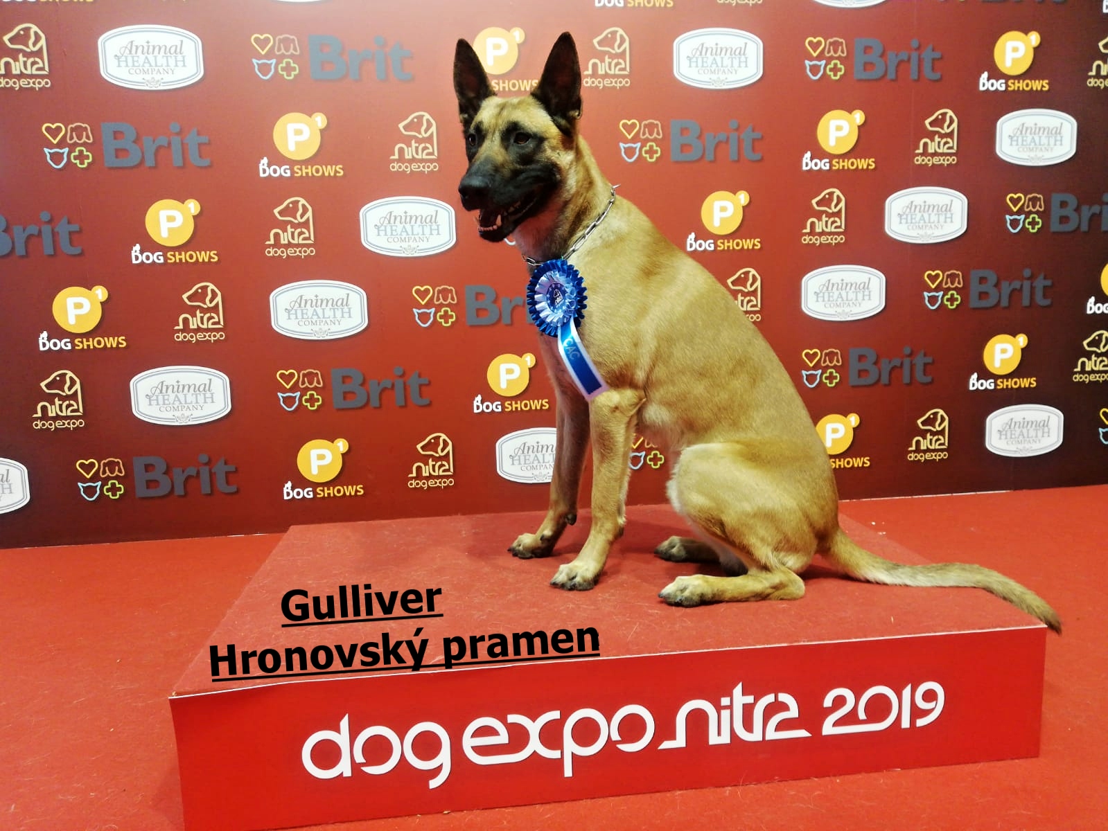 IMG-20190614-WA0003