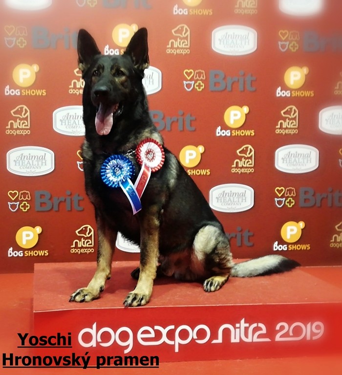 IMG-20190614-WA0004