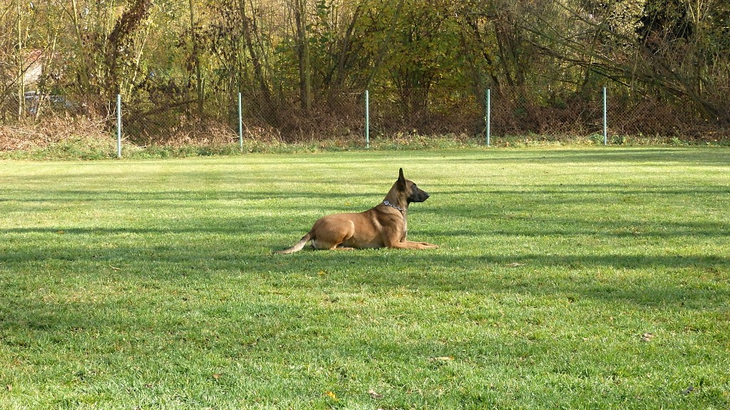 P6300140