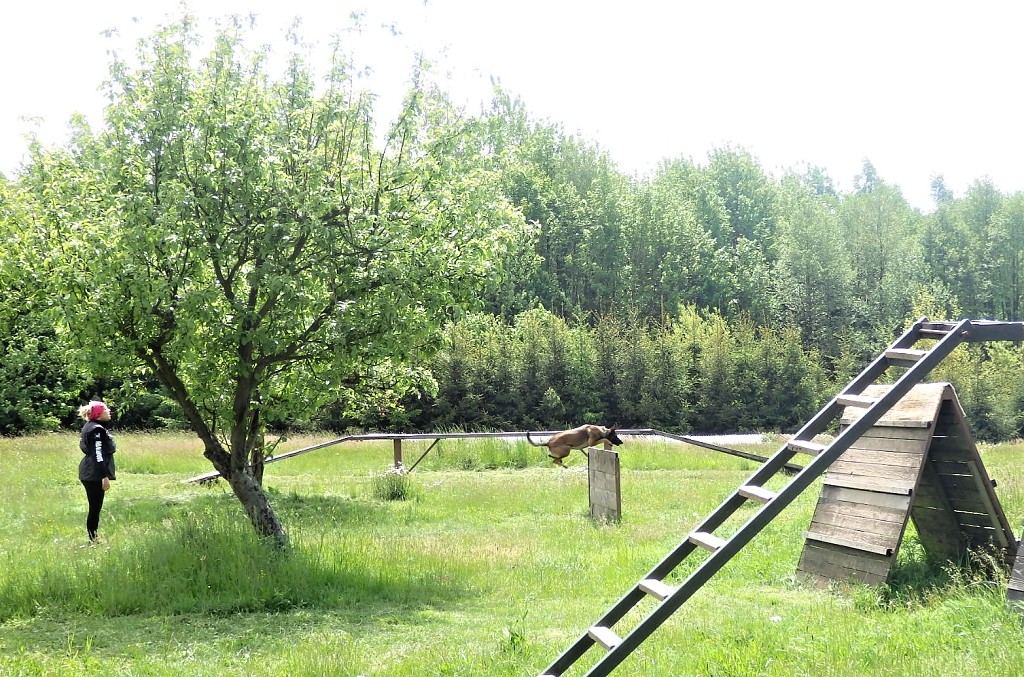 P1270044