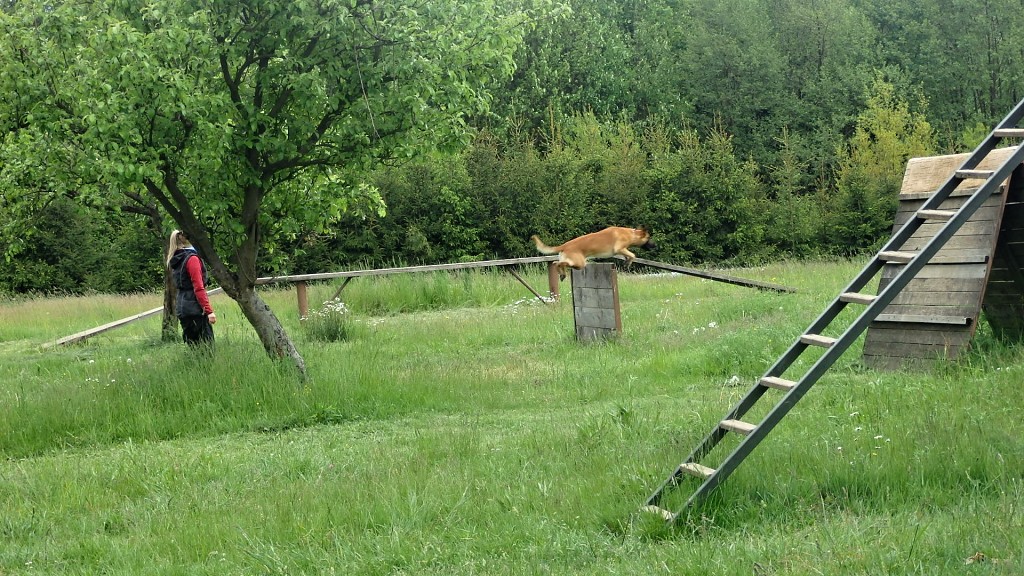 P1270086