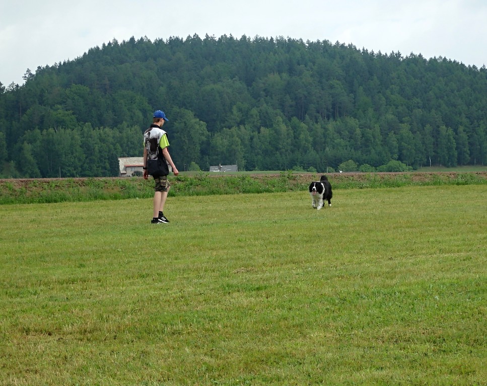 P7030706