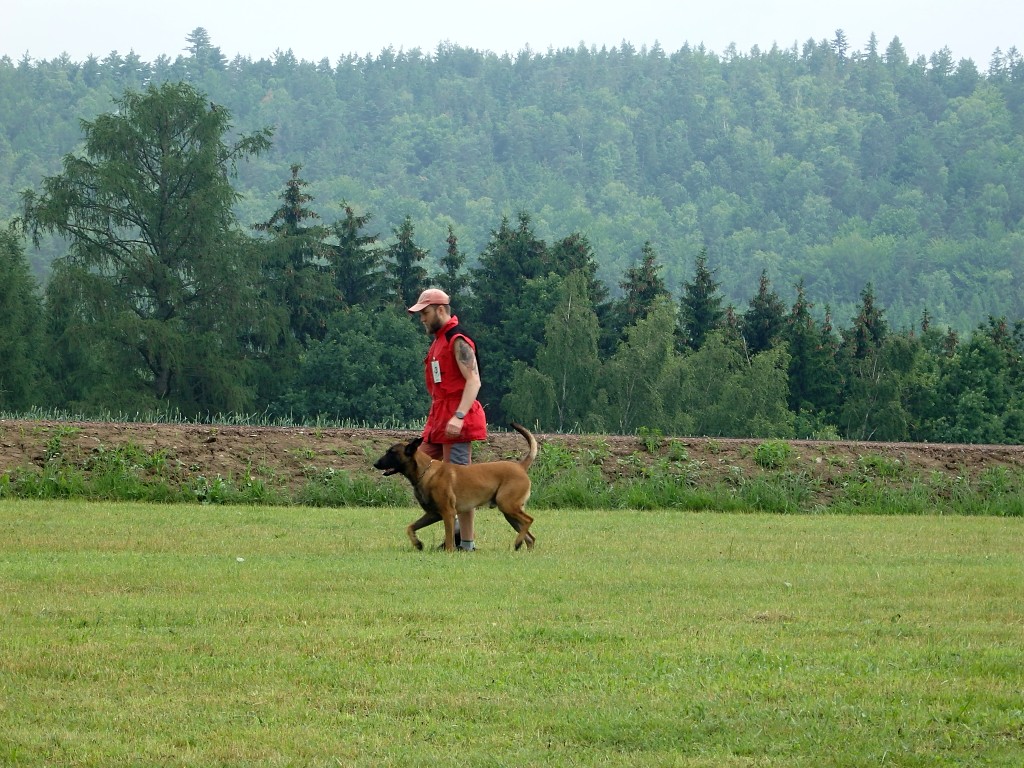 P7030788