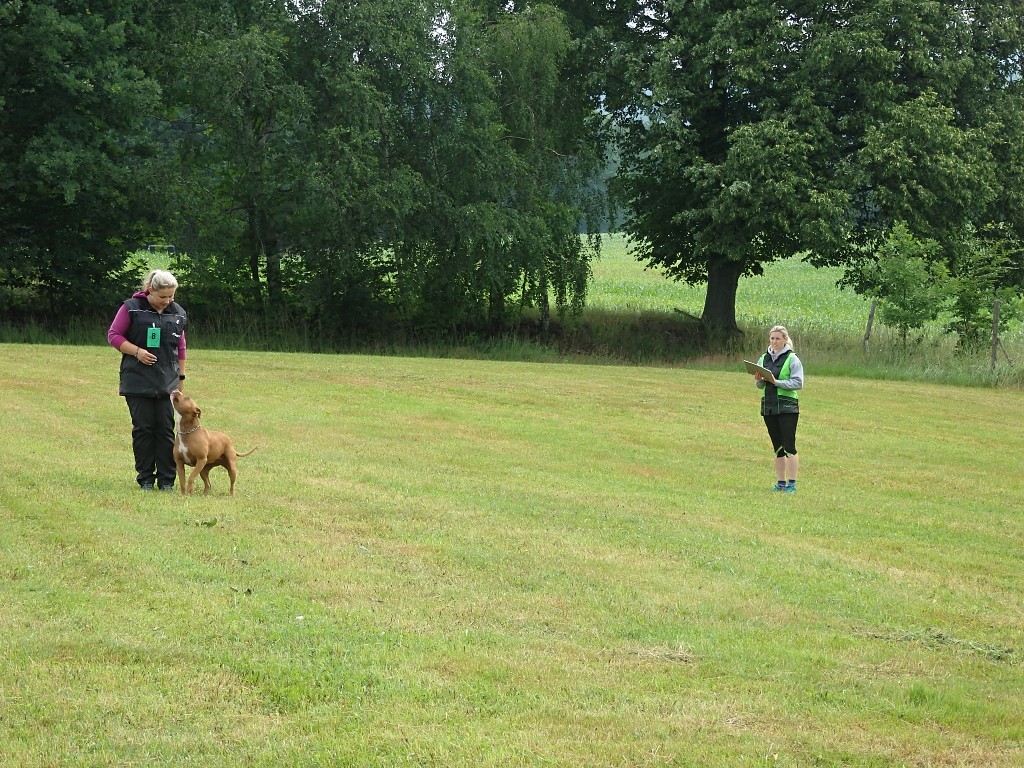 P7030803