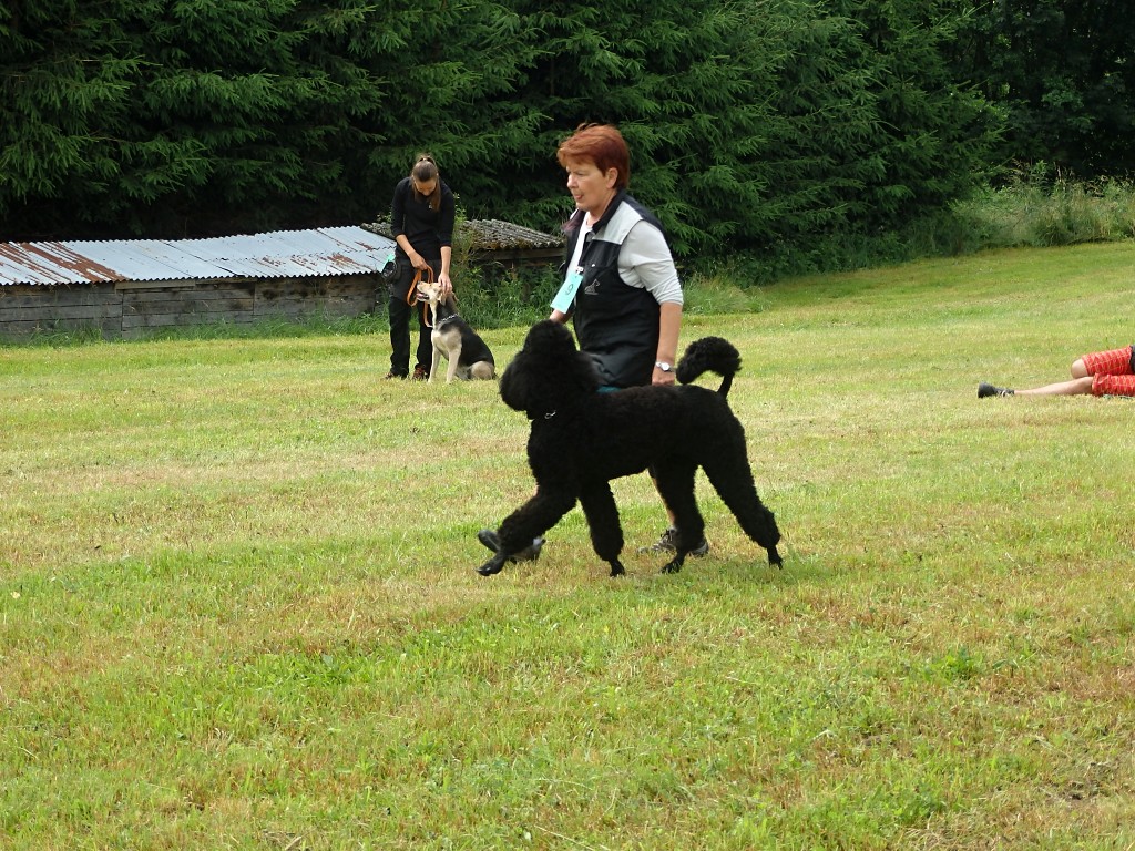 P7030819