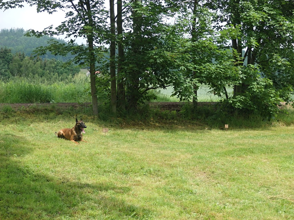 P7030911