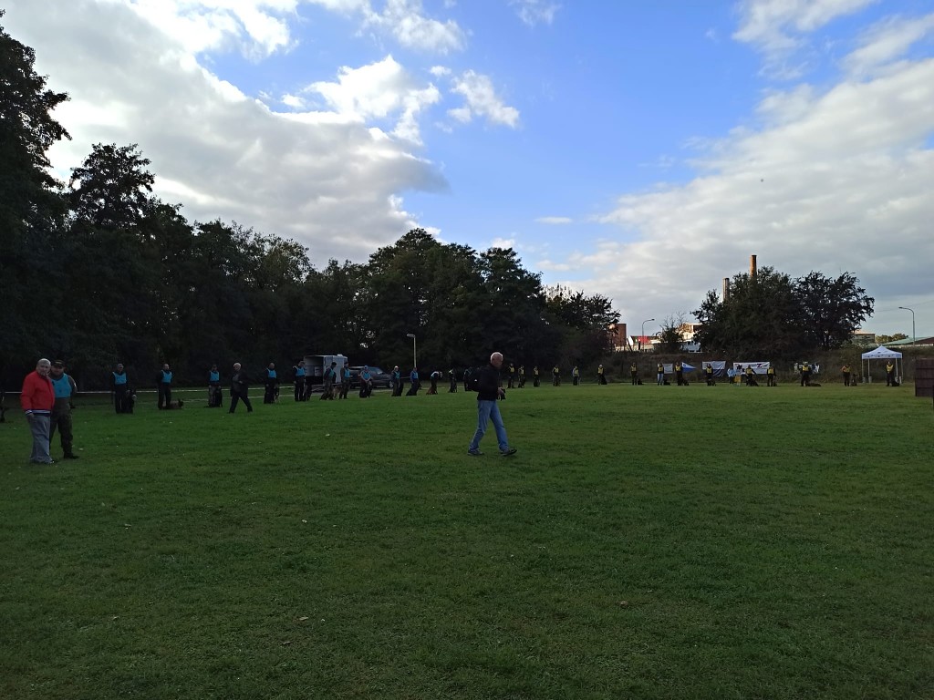 IMG-20211020-WA0140