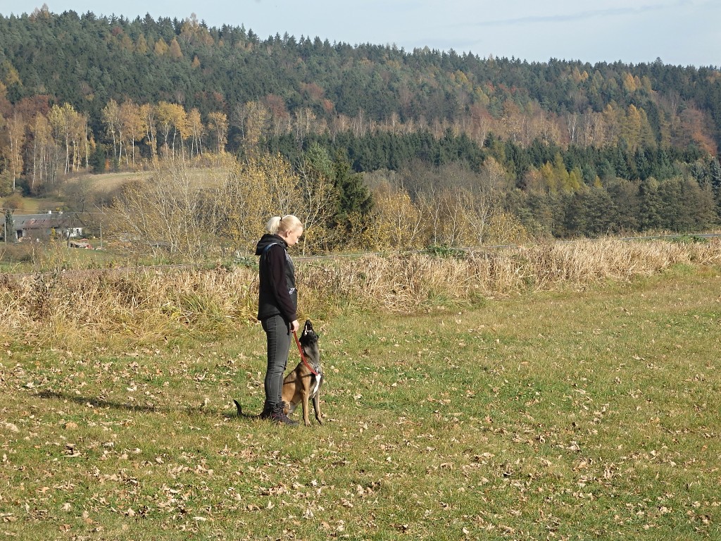 PA311505