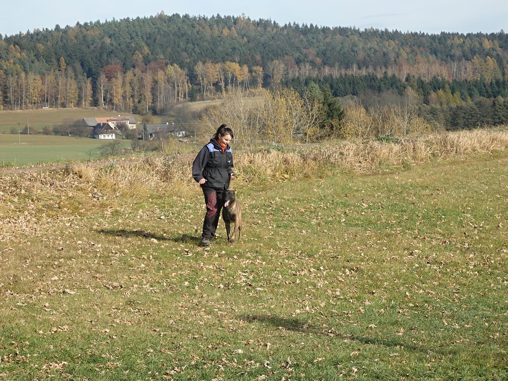 PA311512