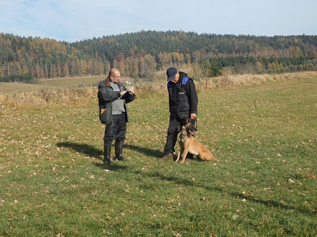 PA311571