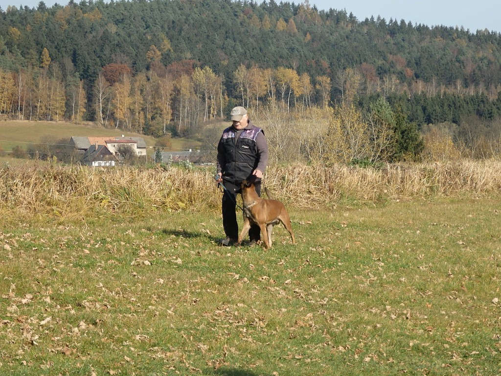 PA311578