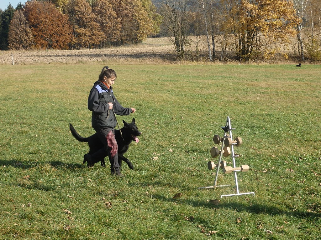 PA311609