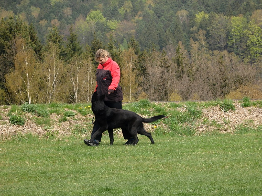P4302135