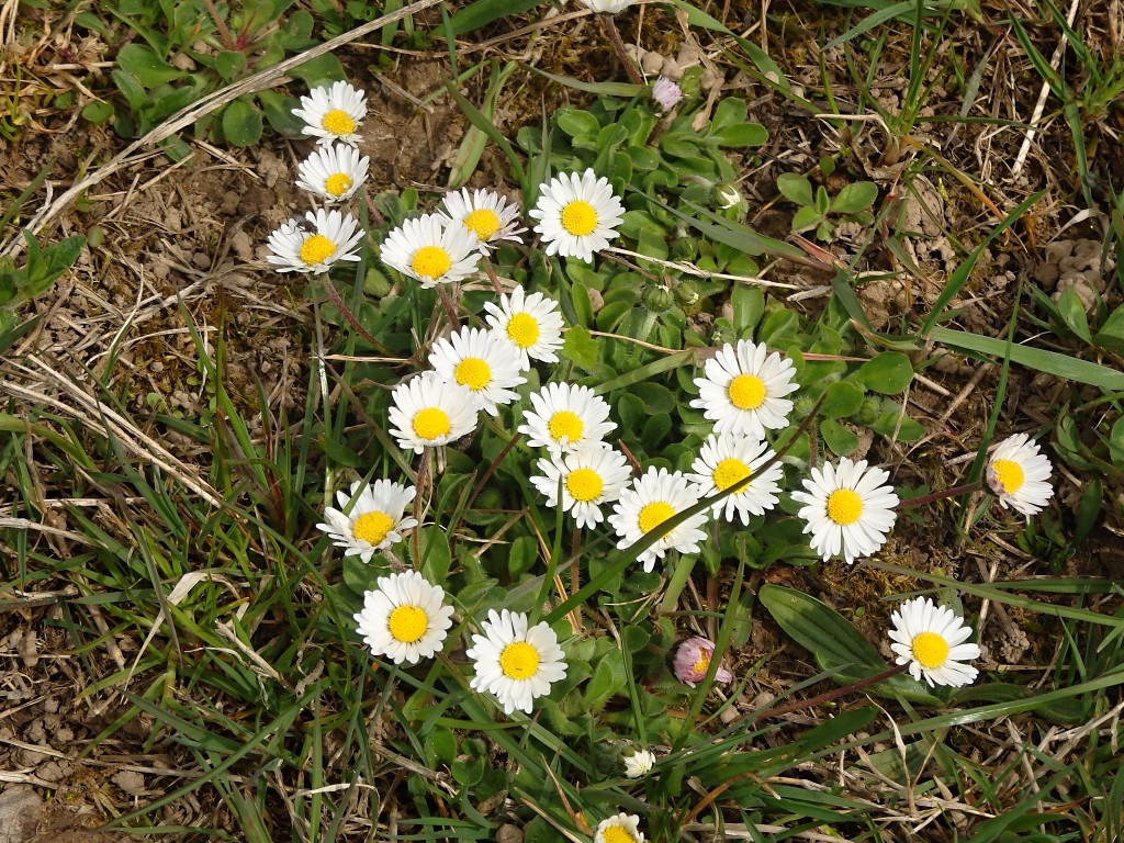 P4302127