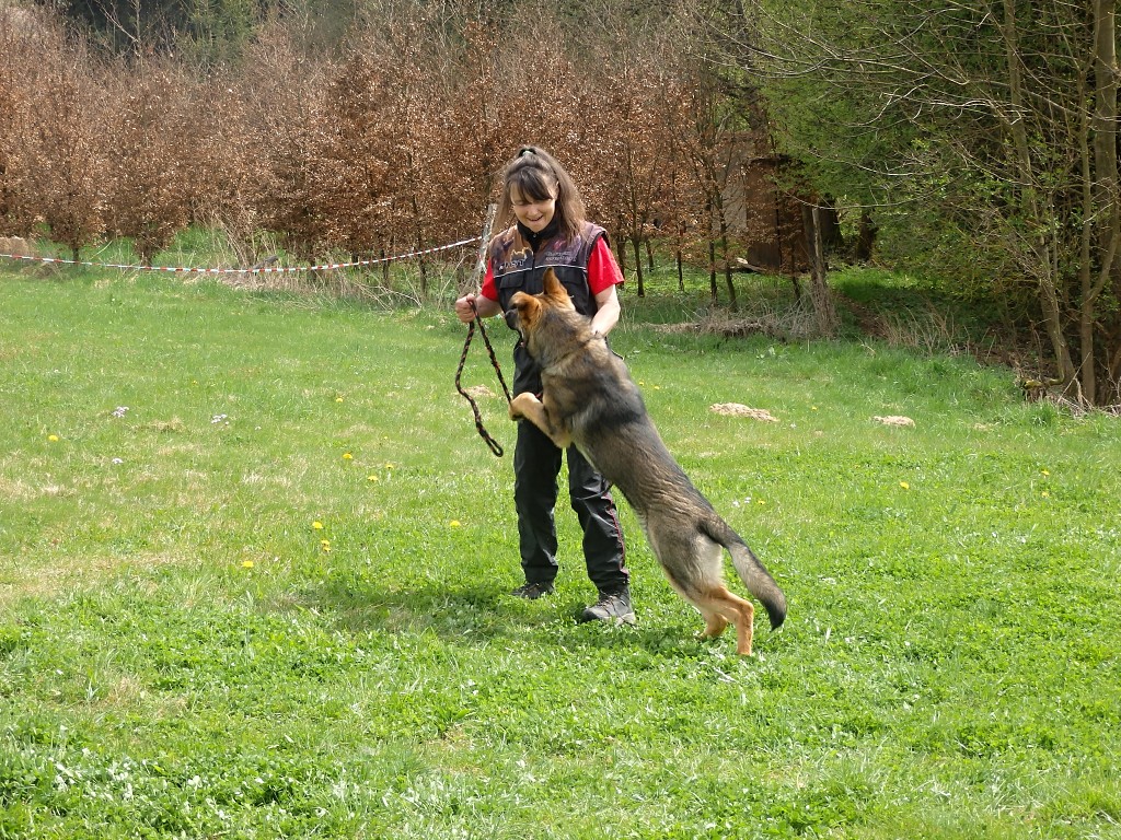 P4302188