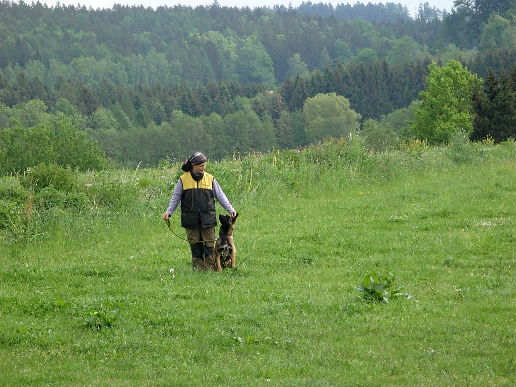 P5222214