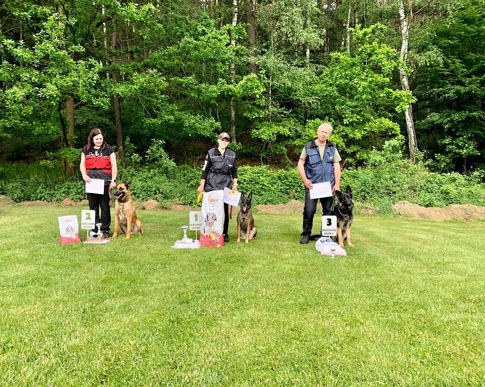 284033807_437888671499218_5596994346370804774_n