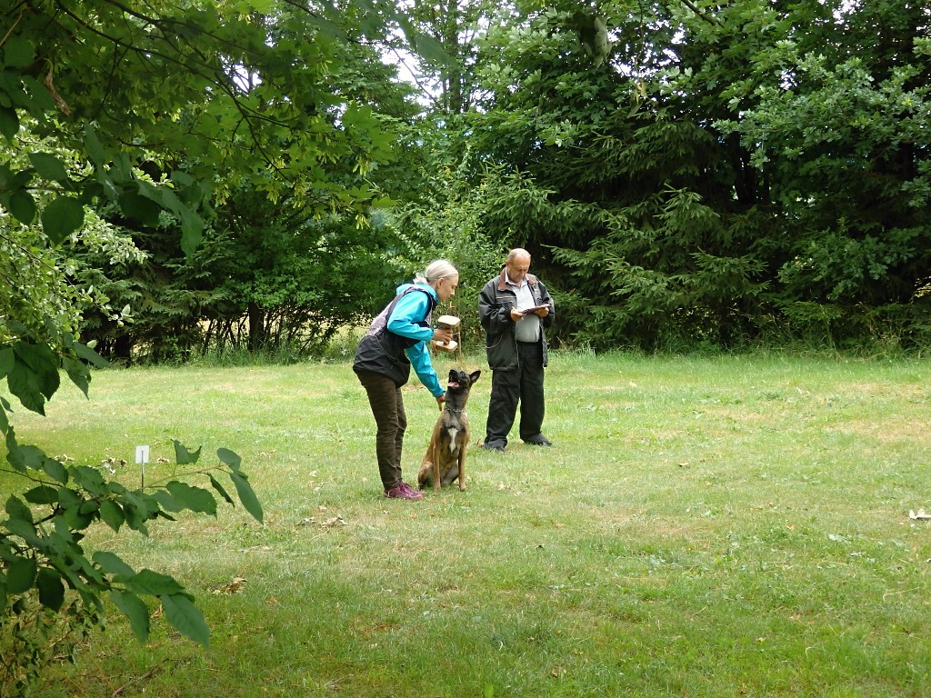 P7052478