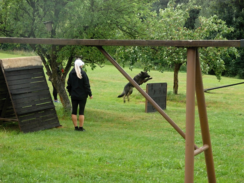 P7052527
