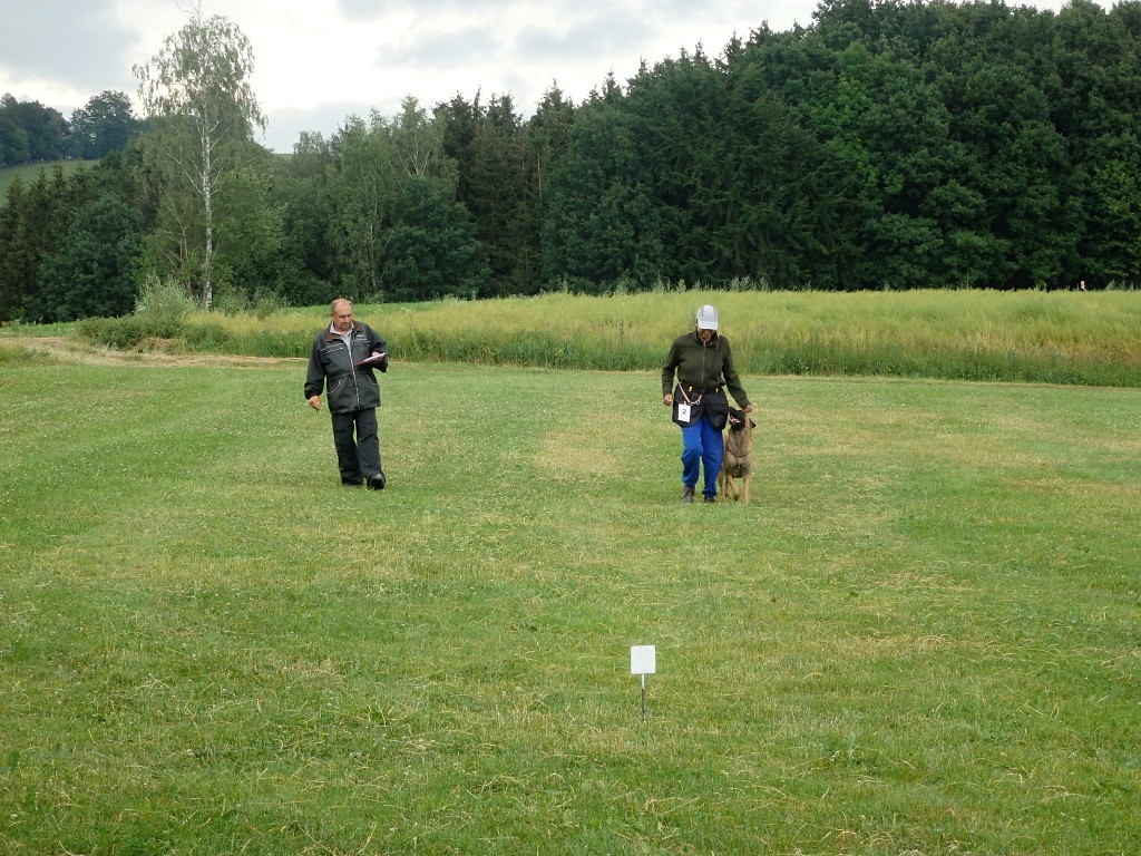 P7052559
