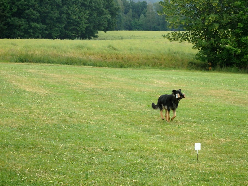 P7052579