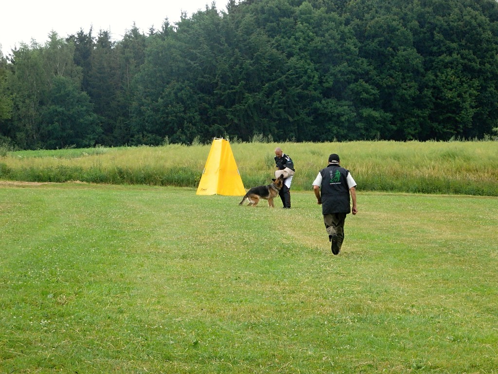 P7052600