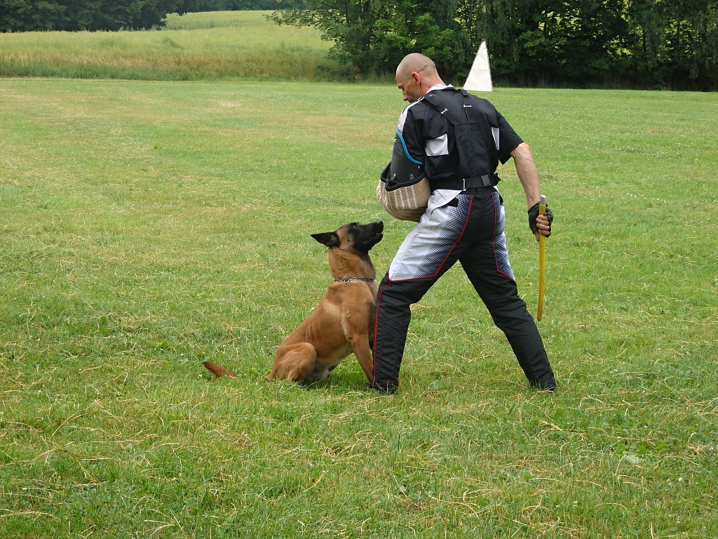 P7052649