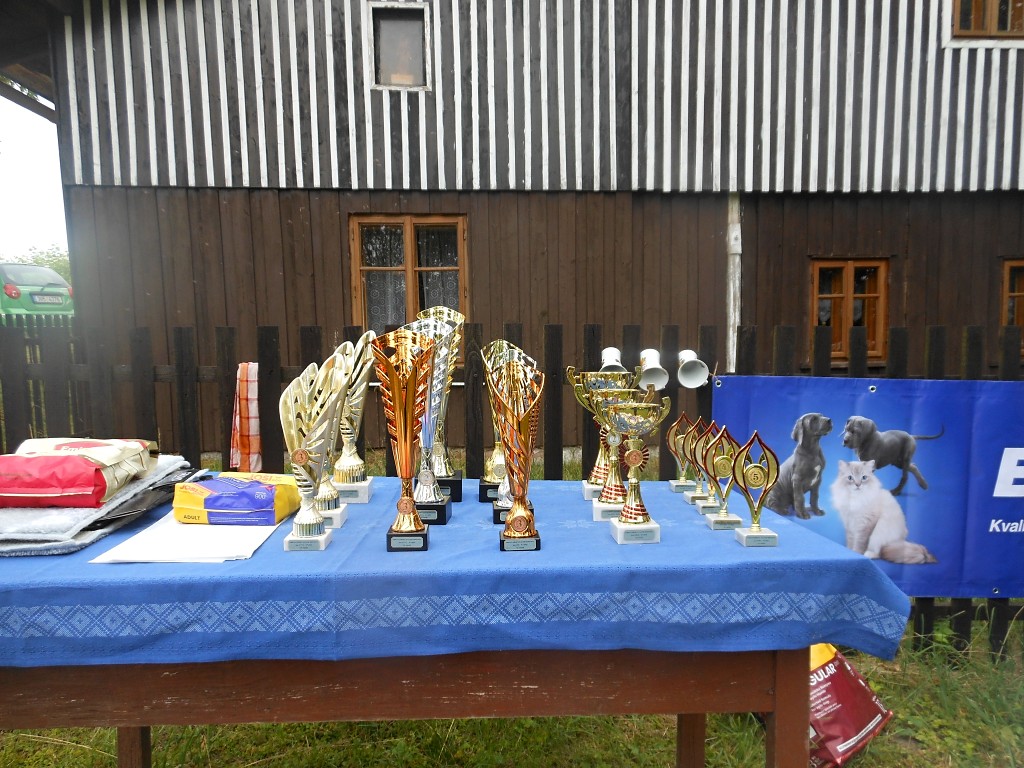 DSCN7862