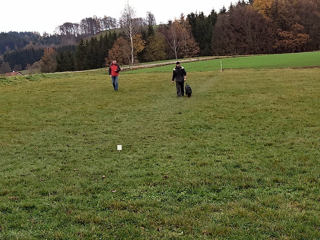 312926105_500467468808630_3956863908133010973_n