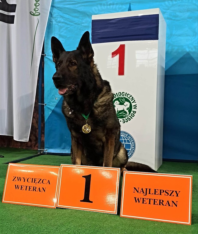 340214671_1953172258395520_5937791873203516224_n