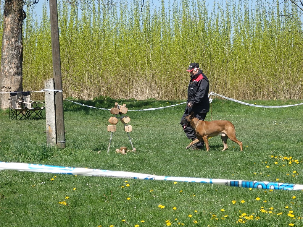 P4303003