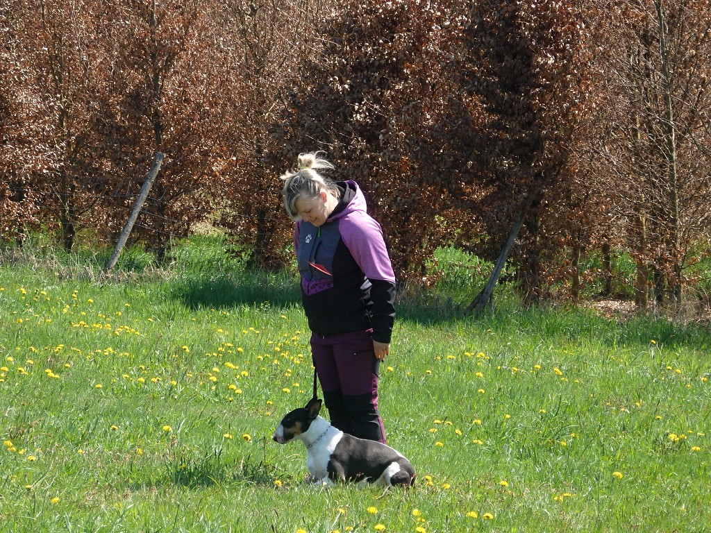 P4303013