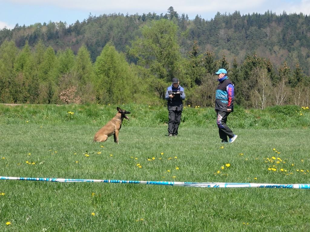 P4303039