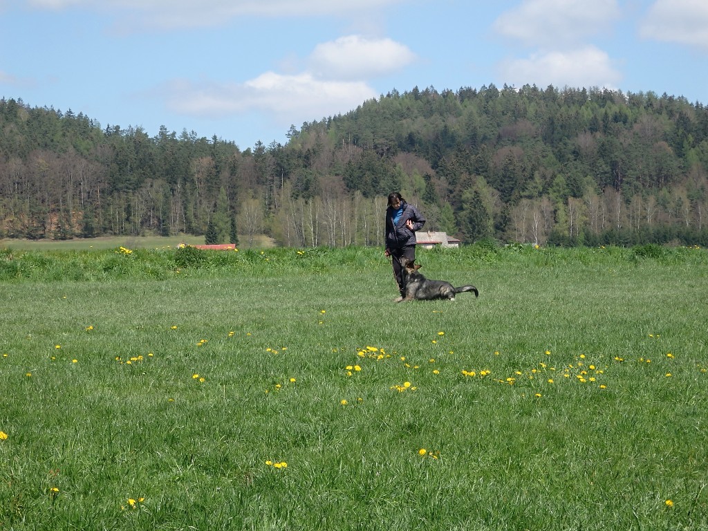 P4303047