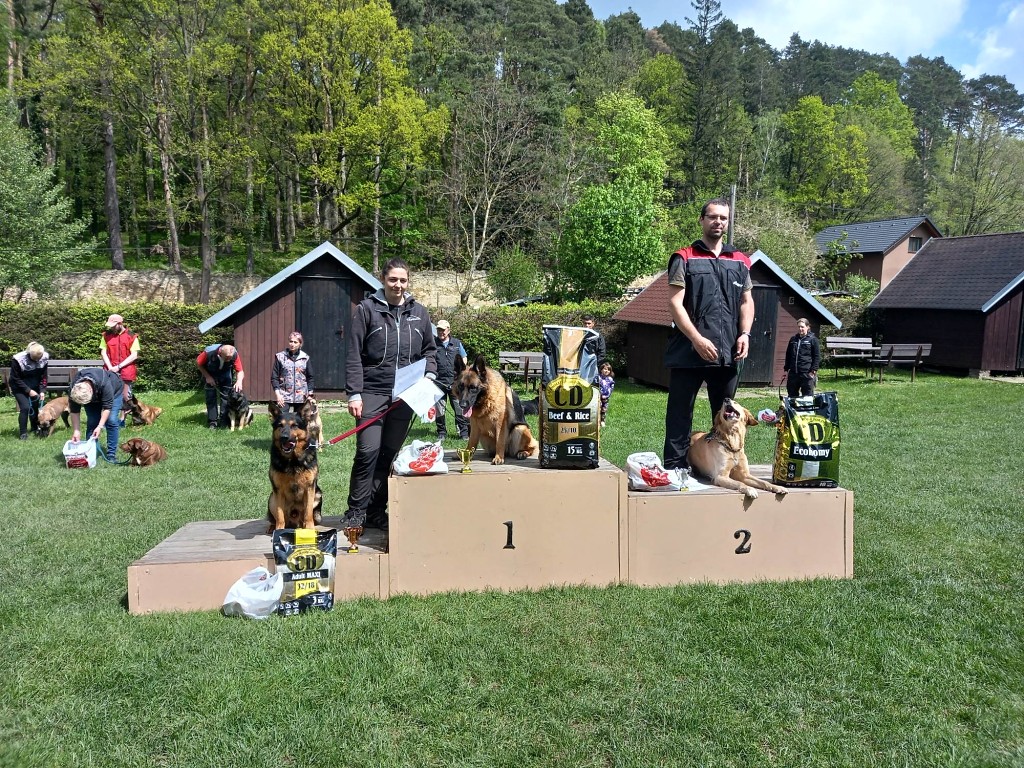 343035283_204498962351235_1809618181476468000_n