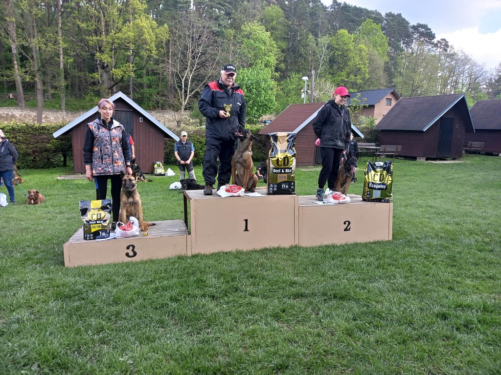 345314818_669423211659165_3880674377733174420_n