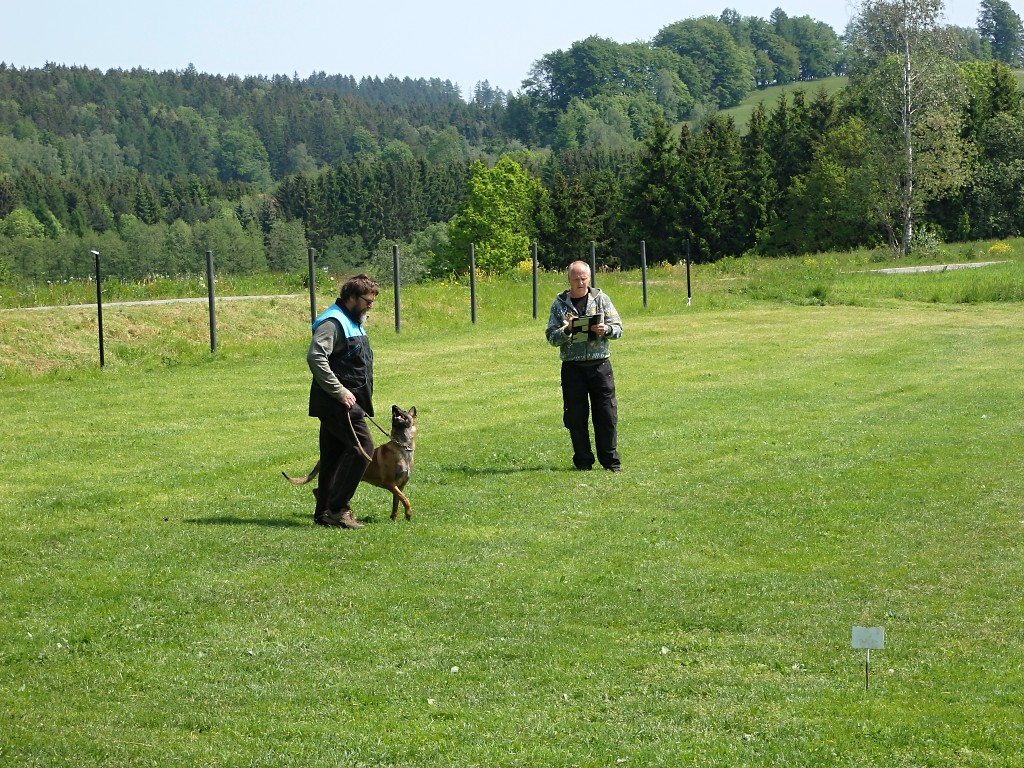 P5283209