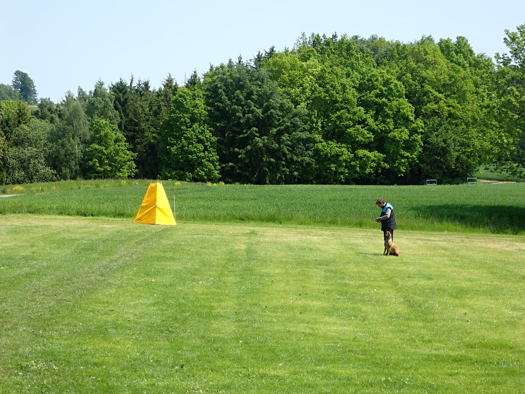 P5283237