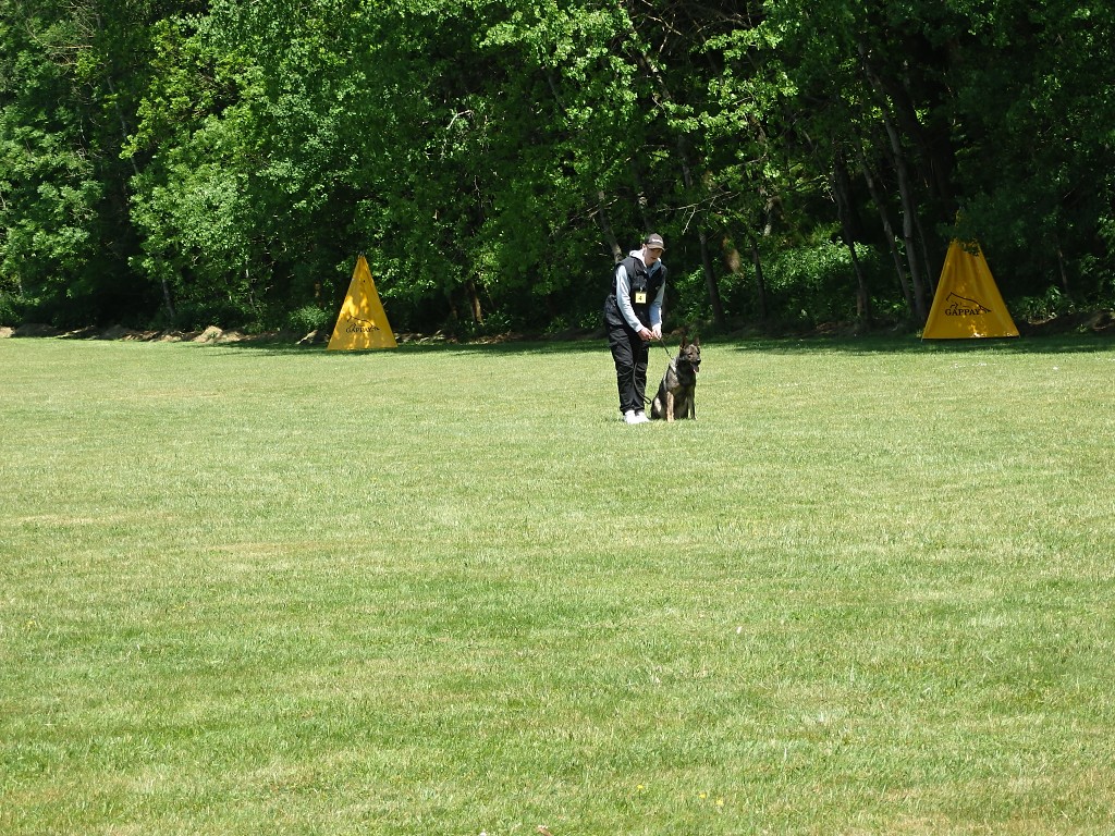 P6033280