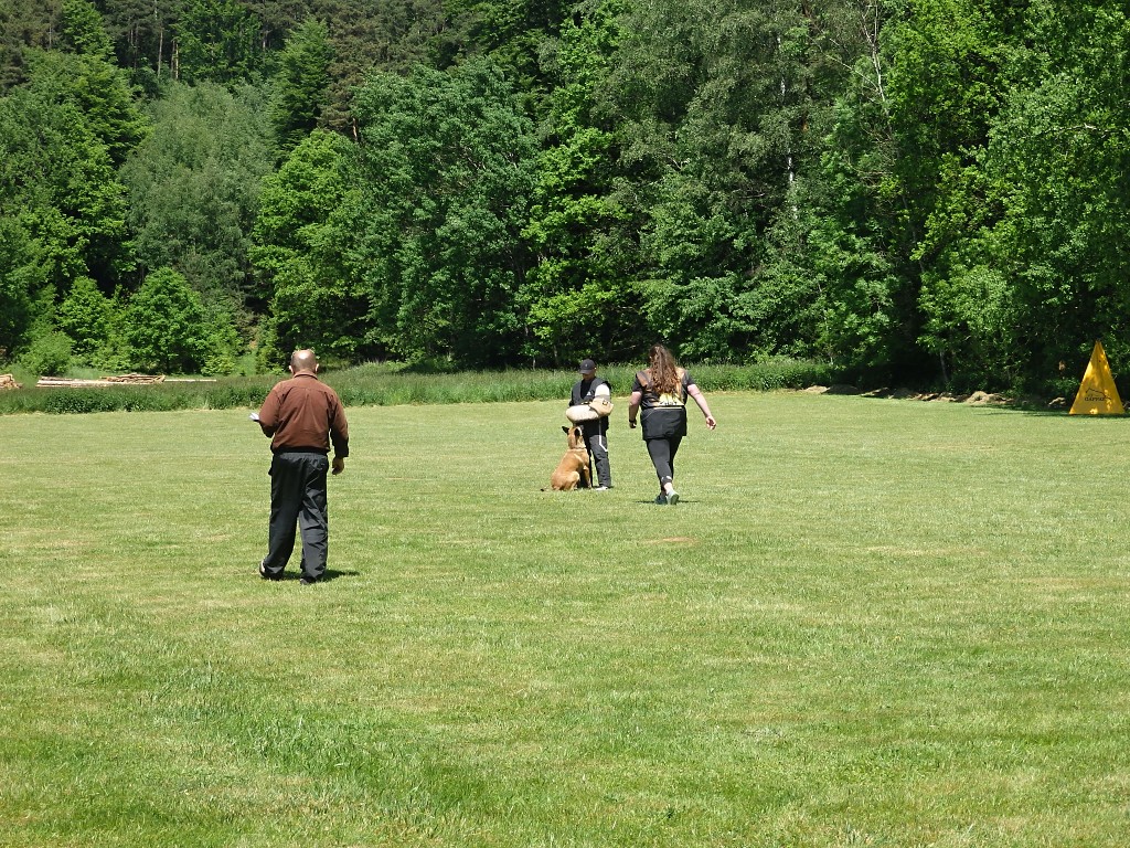 P6033304