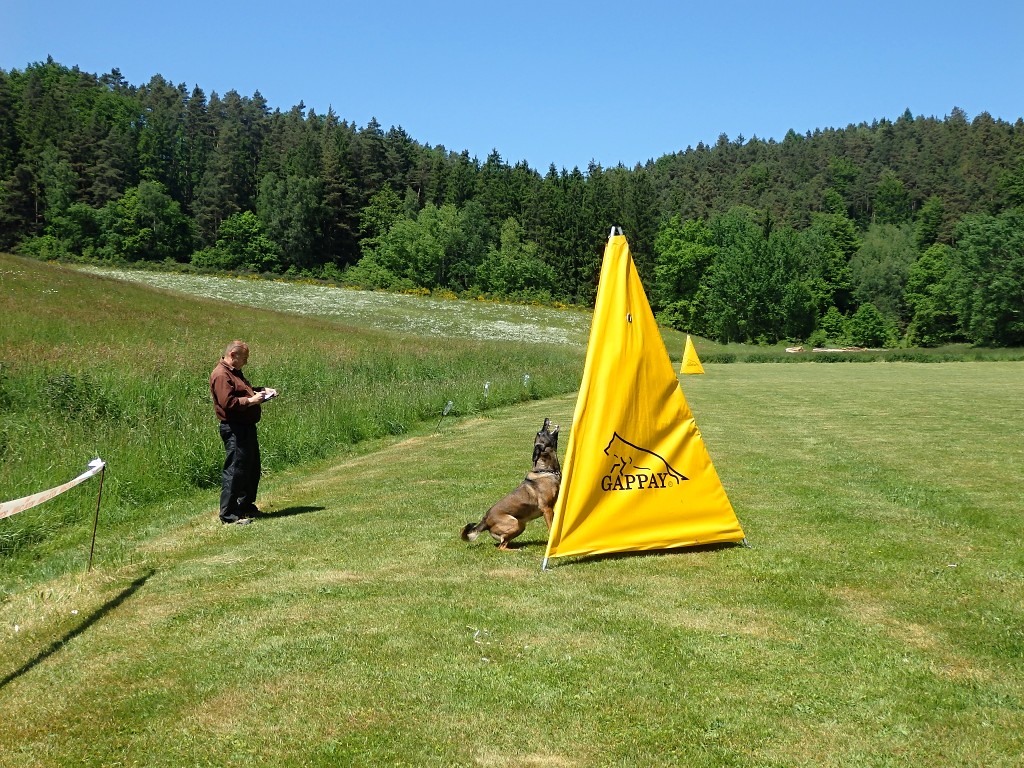 P6033310