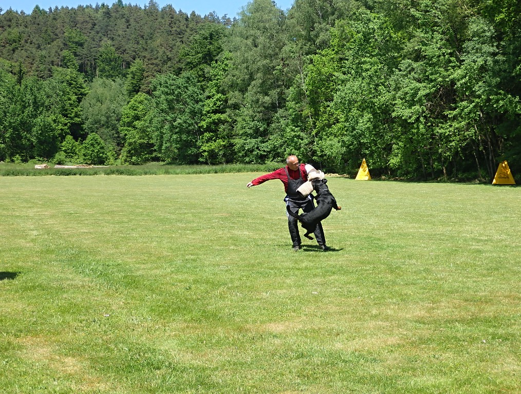 P6033330