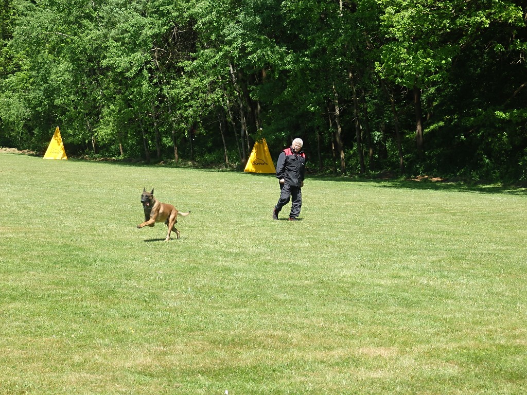 P6033335