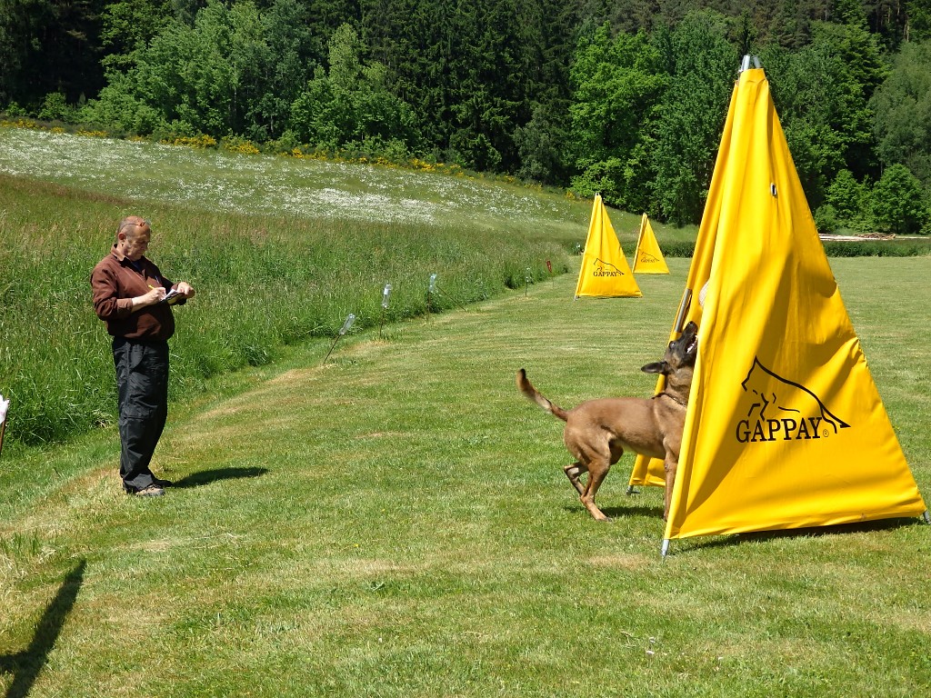 P6033338