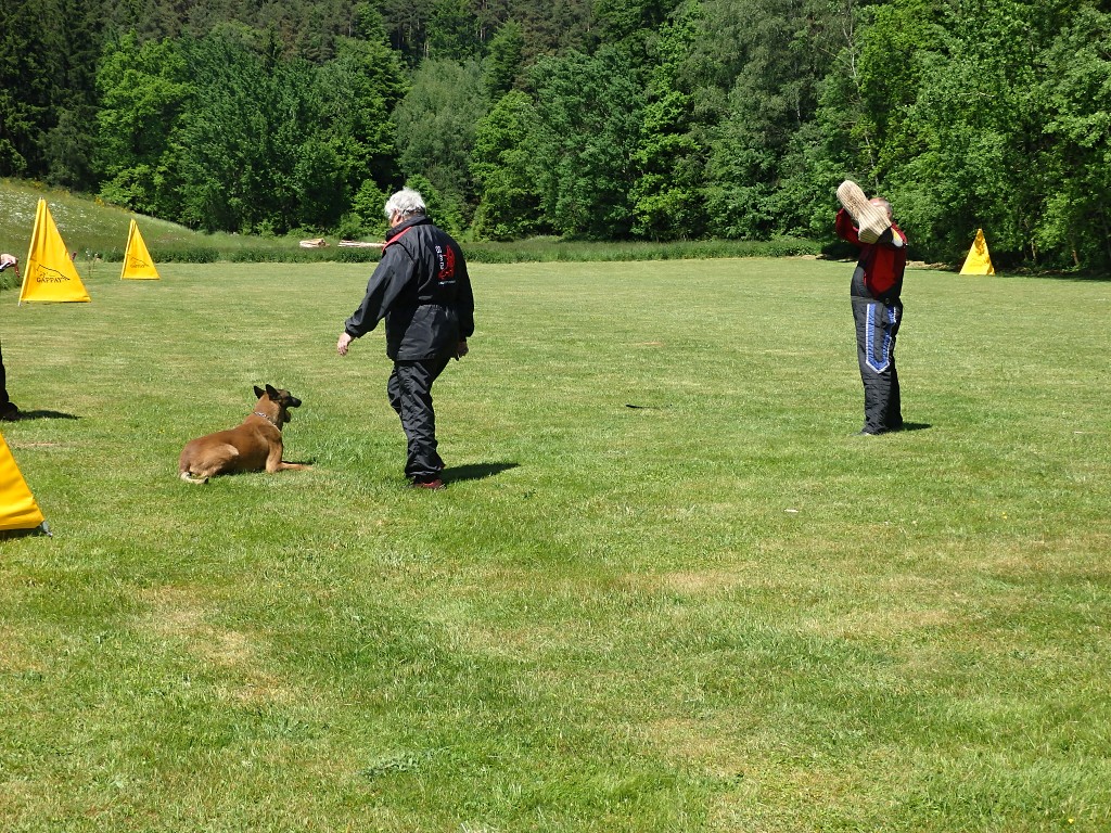 P6033341