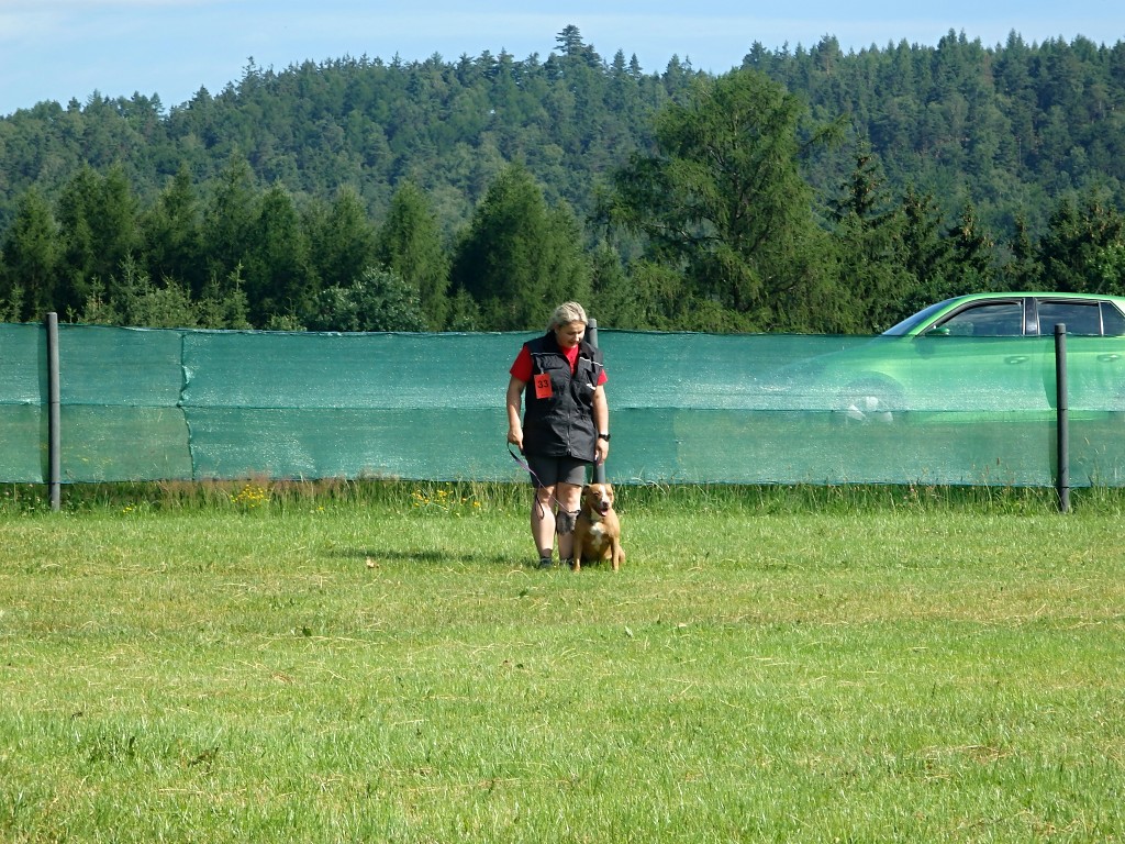 P7053427