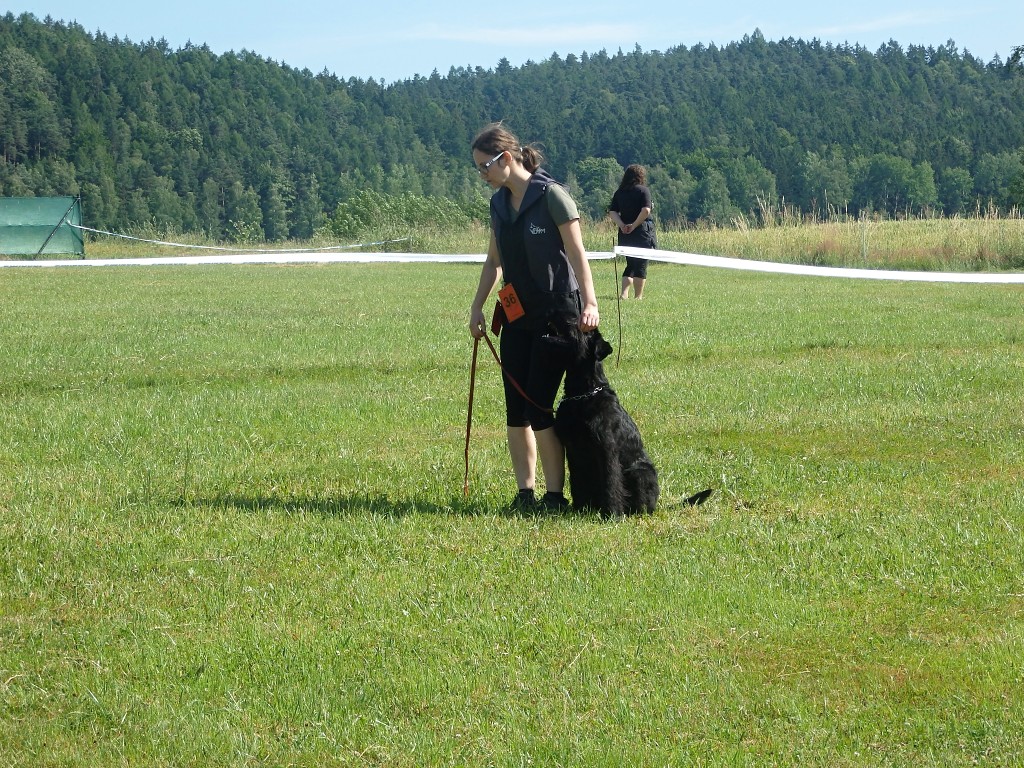 P7053452