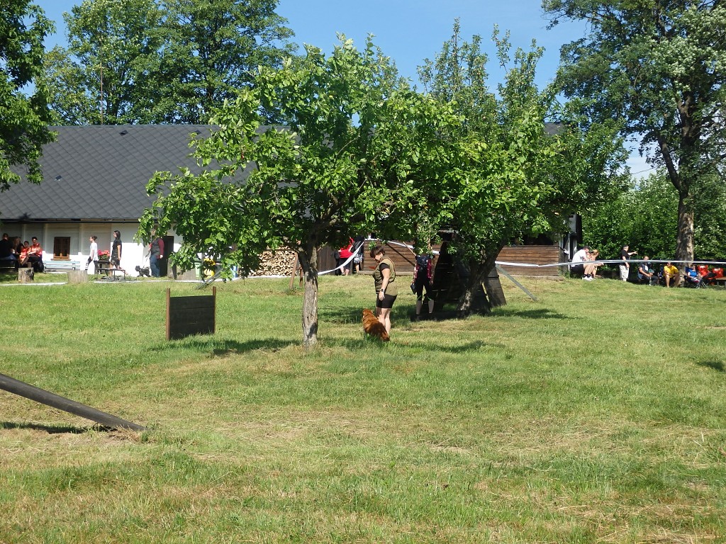 P7053453